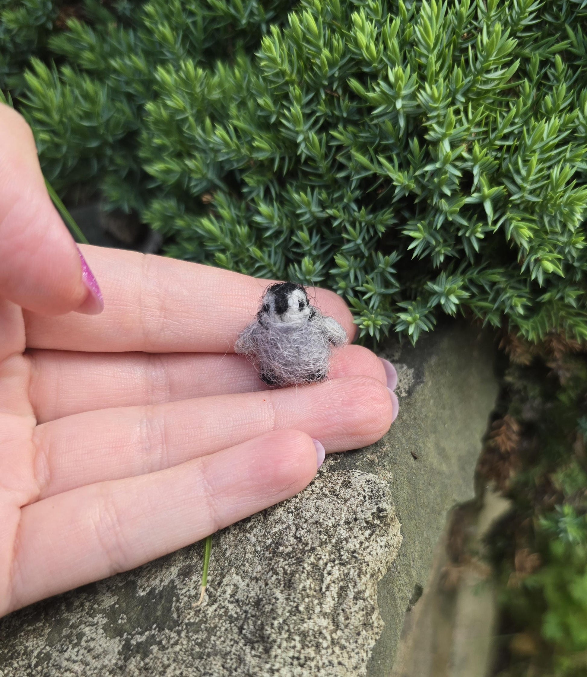 Baby penguin, miniature penguin. Handmade penguin gift. Felted penguin. christmas gift penguin doll house animal.