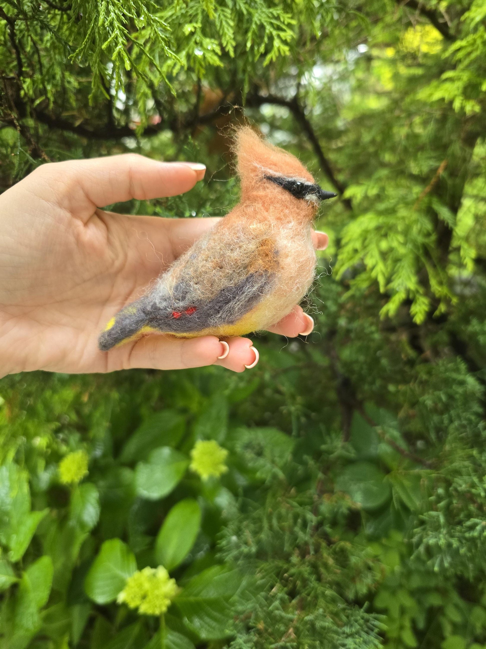 Cedar waxwing bird. Needle felted bird Cedar waxwing. Wool birds. Christmas ornament.