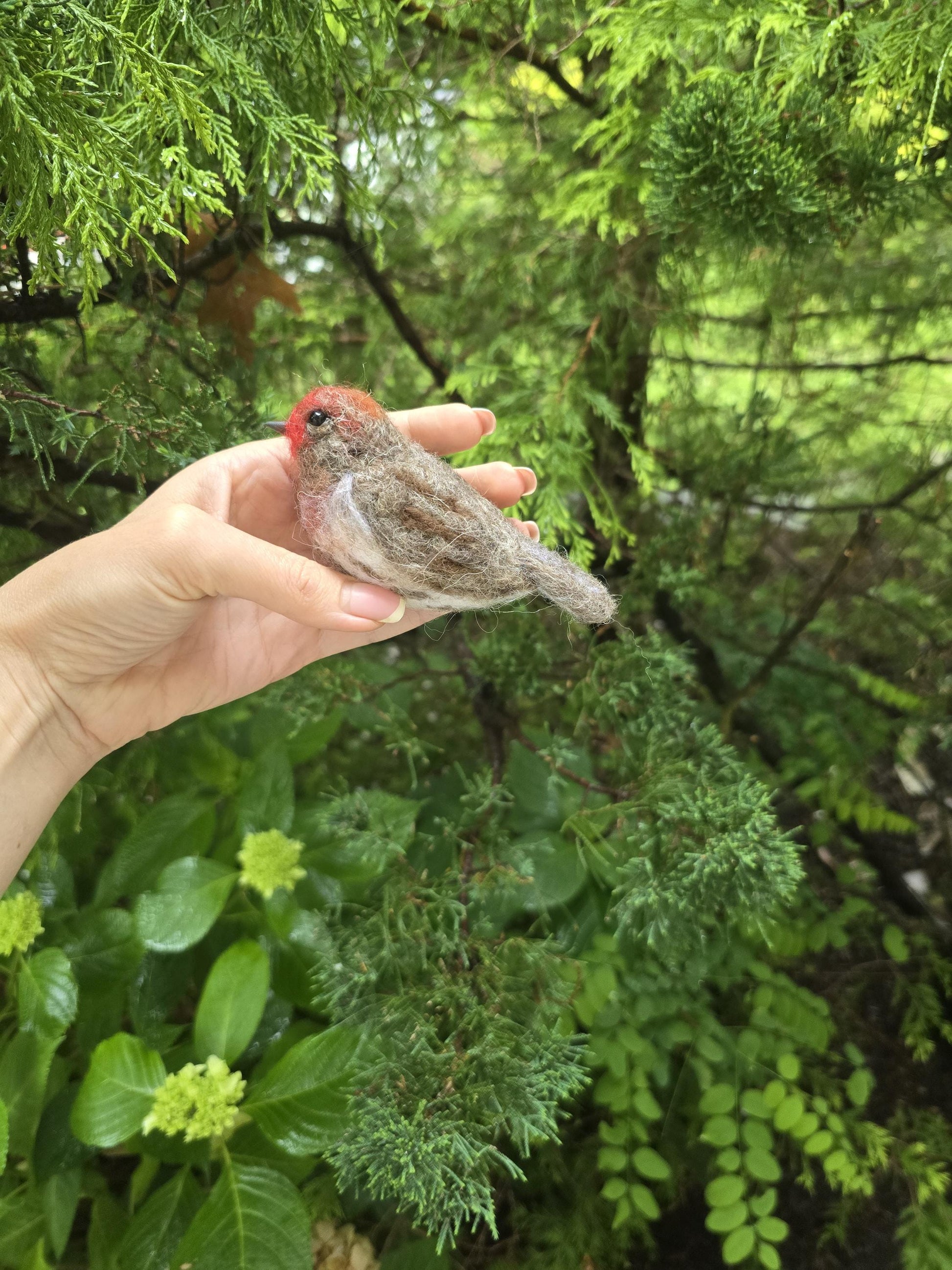 Felted bird house finch.  Needle felted animals. Christmas ornament. Bird gift