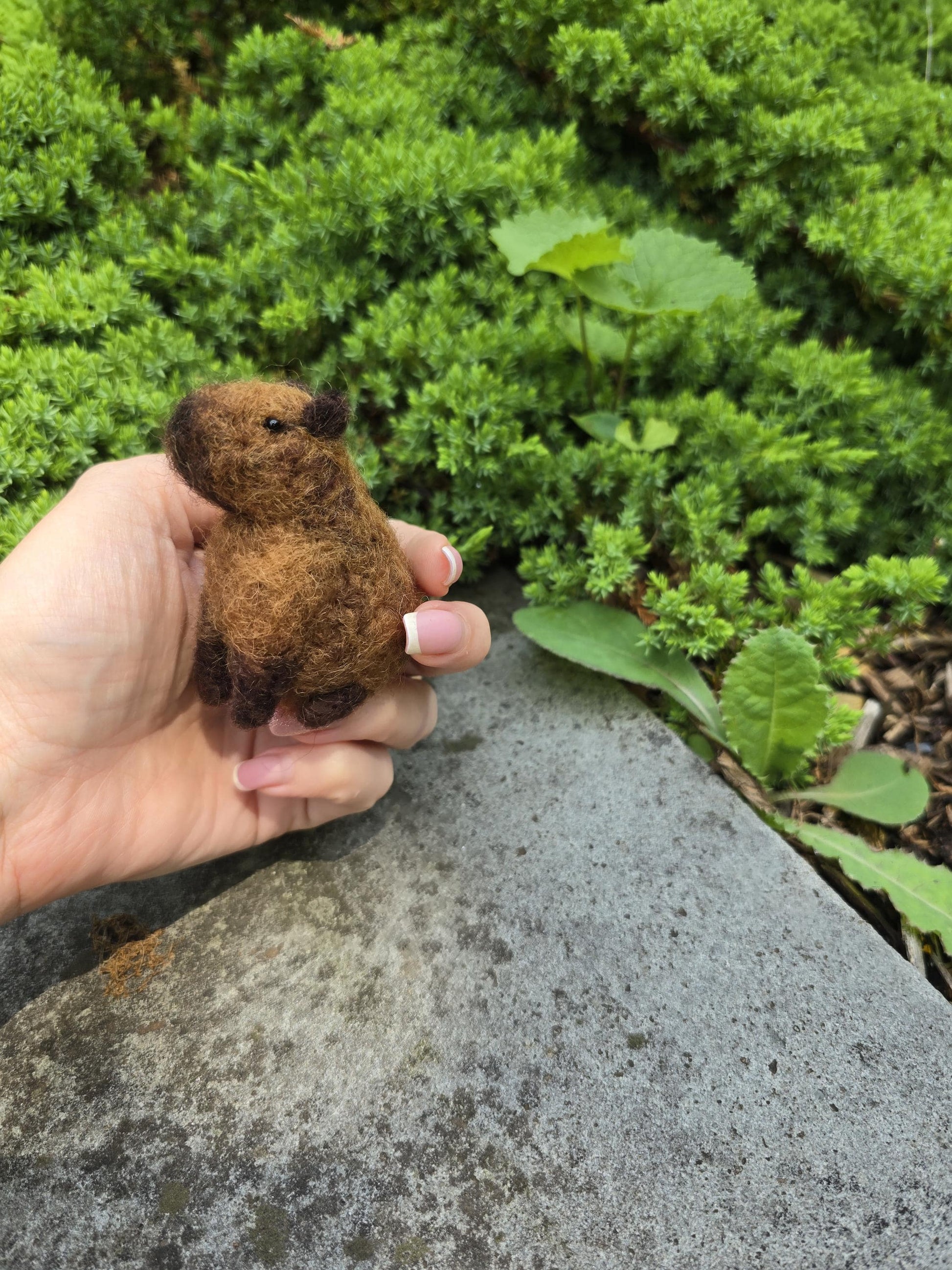 Capybara. capybara toy needle felted. Capybara ornament. Christmas gift needle felted. Wool animals.