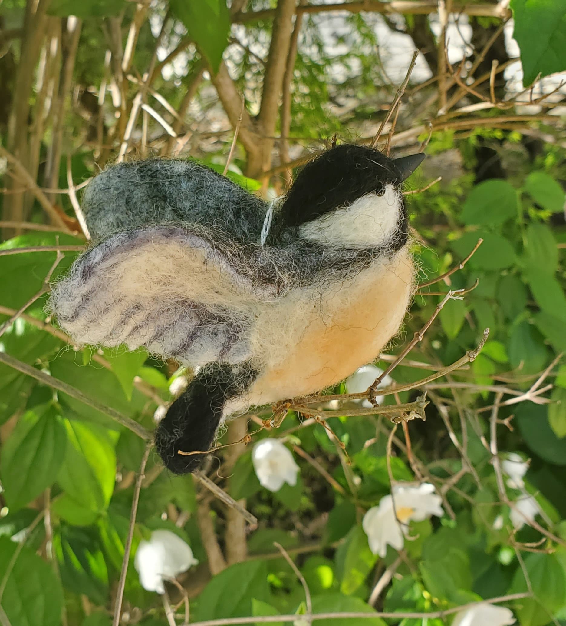 Needle felted chikadee. Flying bird needle felted animal. Birds with wings..