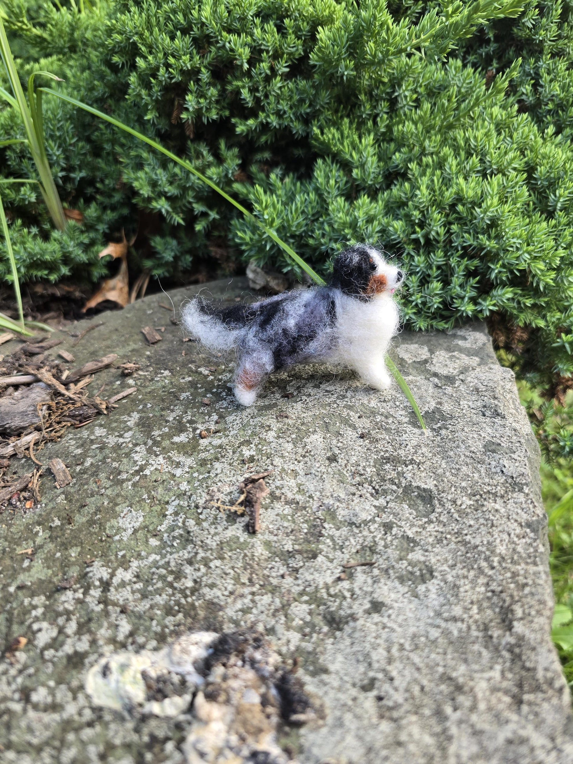 Australian sheperd dog. Handmade dog.Needle felted dog. Christmas ornament dog. Custom color auatralian sheperd.custom dog gift