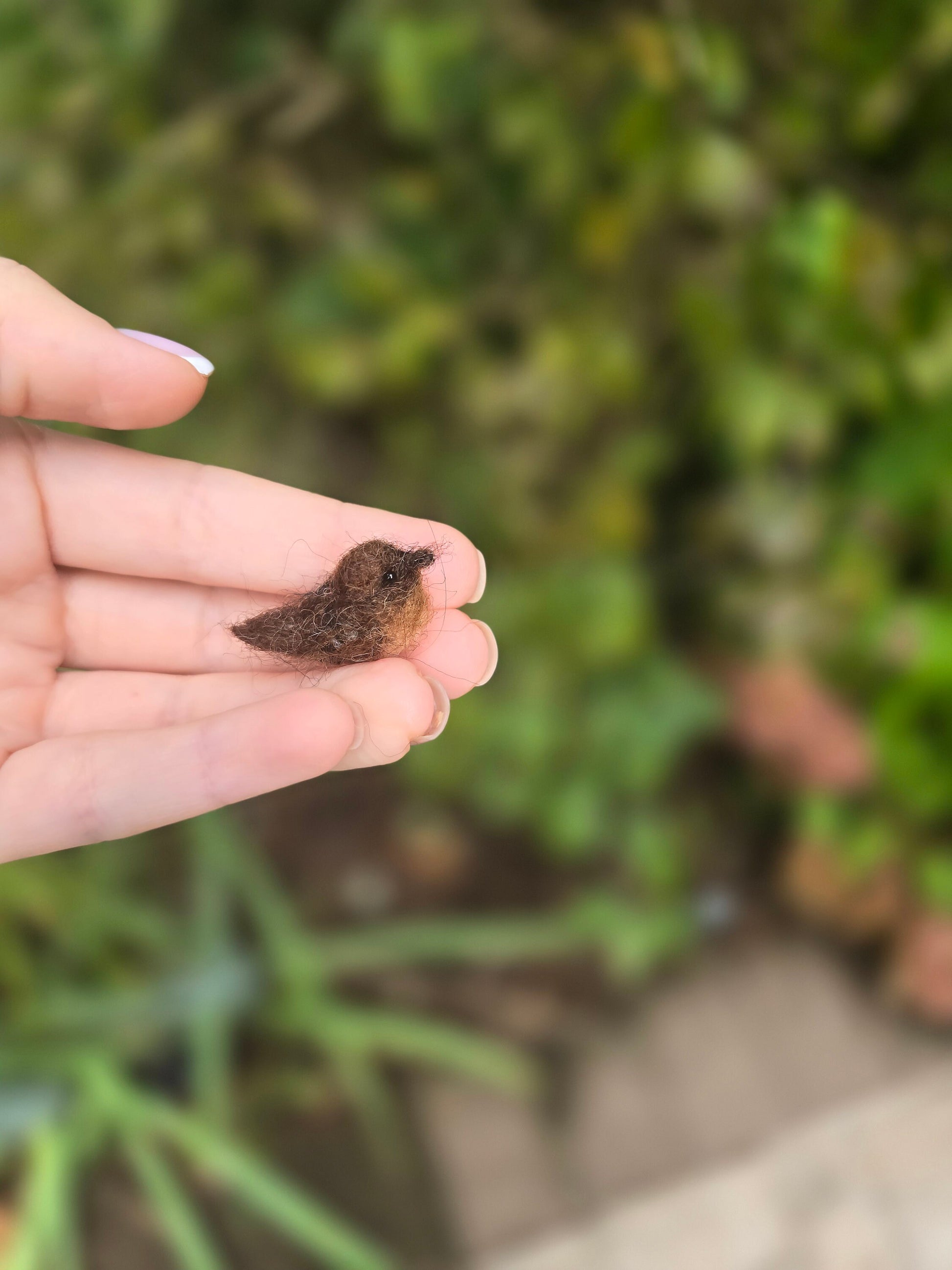 Miniature Wren bird. Wren bird doll house. Wool birds, handmade birds. Needle felting birds.