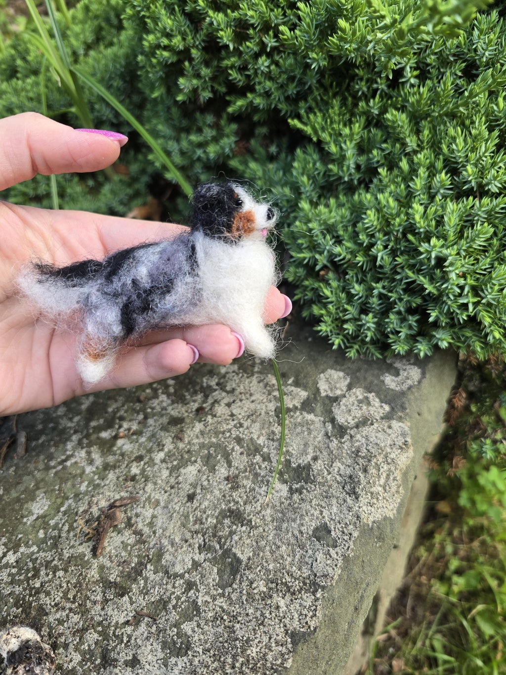 Australian sheperd dog. Handmade dog.Needle felted dog. Christmas ornament dog. Custom color auatralian sheperd.custom dog gift