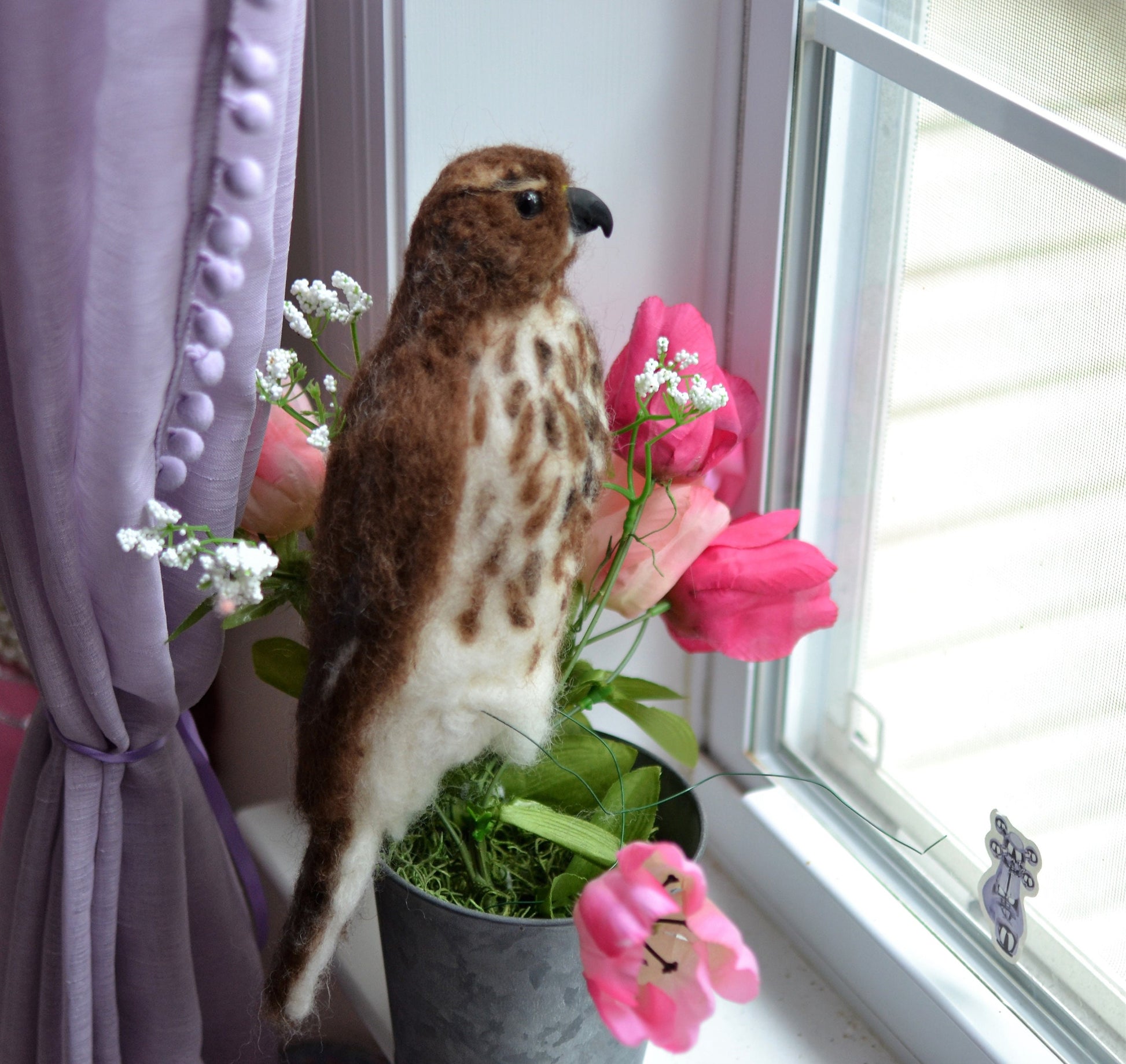 Cooper hawk real size. realistic hawk.Needle felted realistic birds.