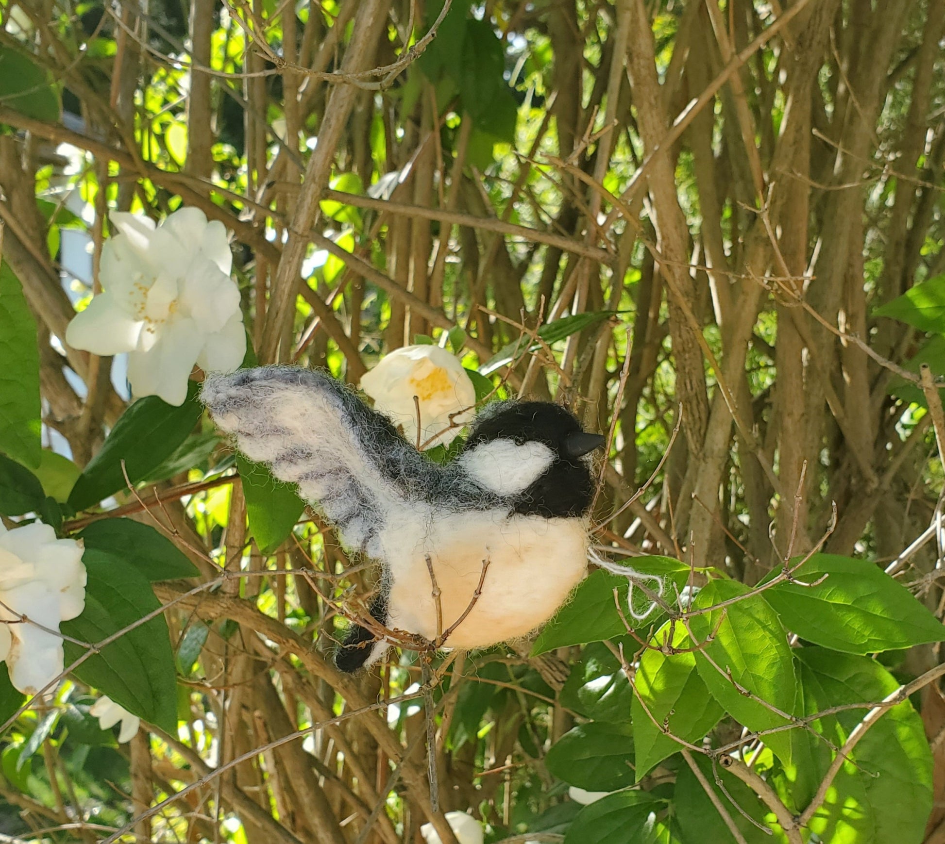 Needle felted chikadee. Flying bird needle felted animal. Birds with wings..