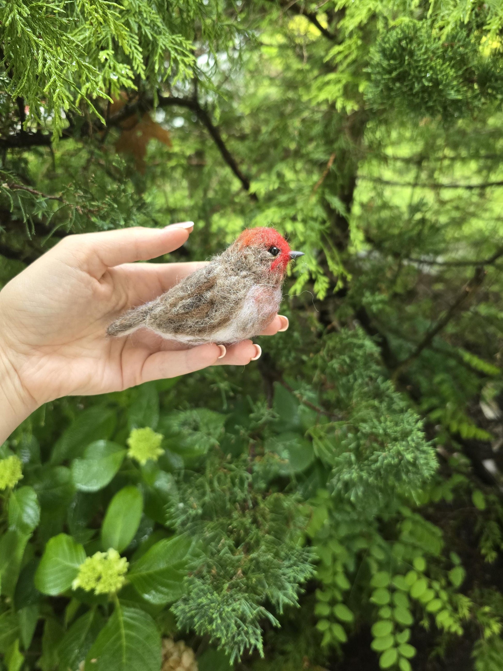 Felted bird house finch.  Needle felted animals. Christmas ornament. Bird gift