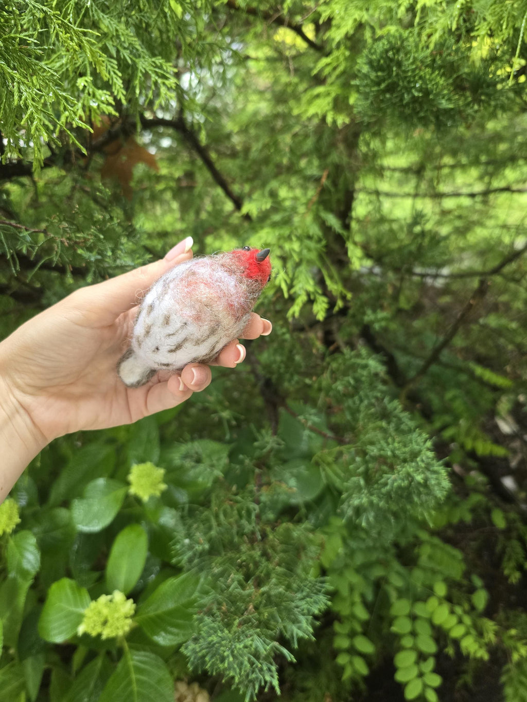 Felted bird house finch.  Needle felted animals. Christmas ornament. Bird gift