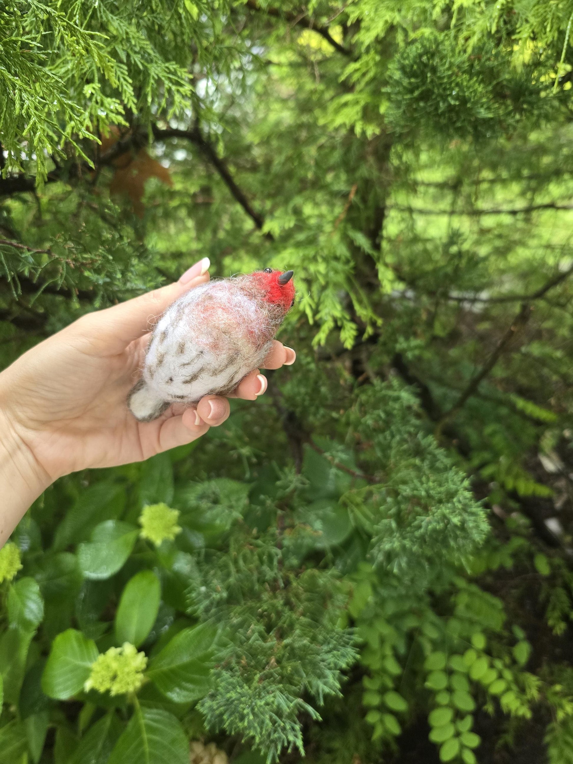 Felted bird house finch.  Needle felted animals. Christmas ornament. Bird gift