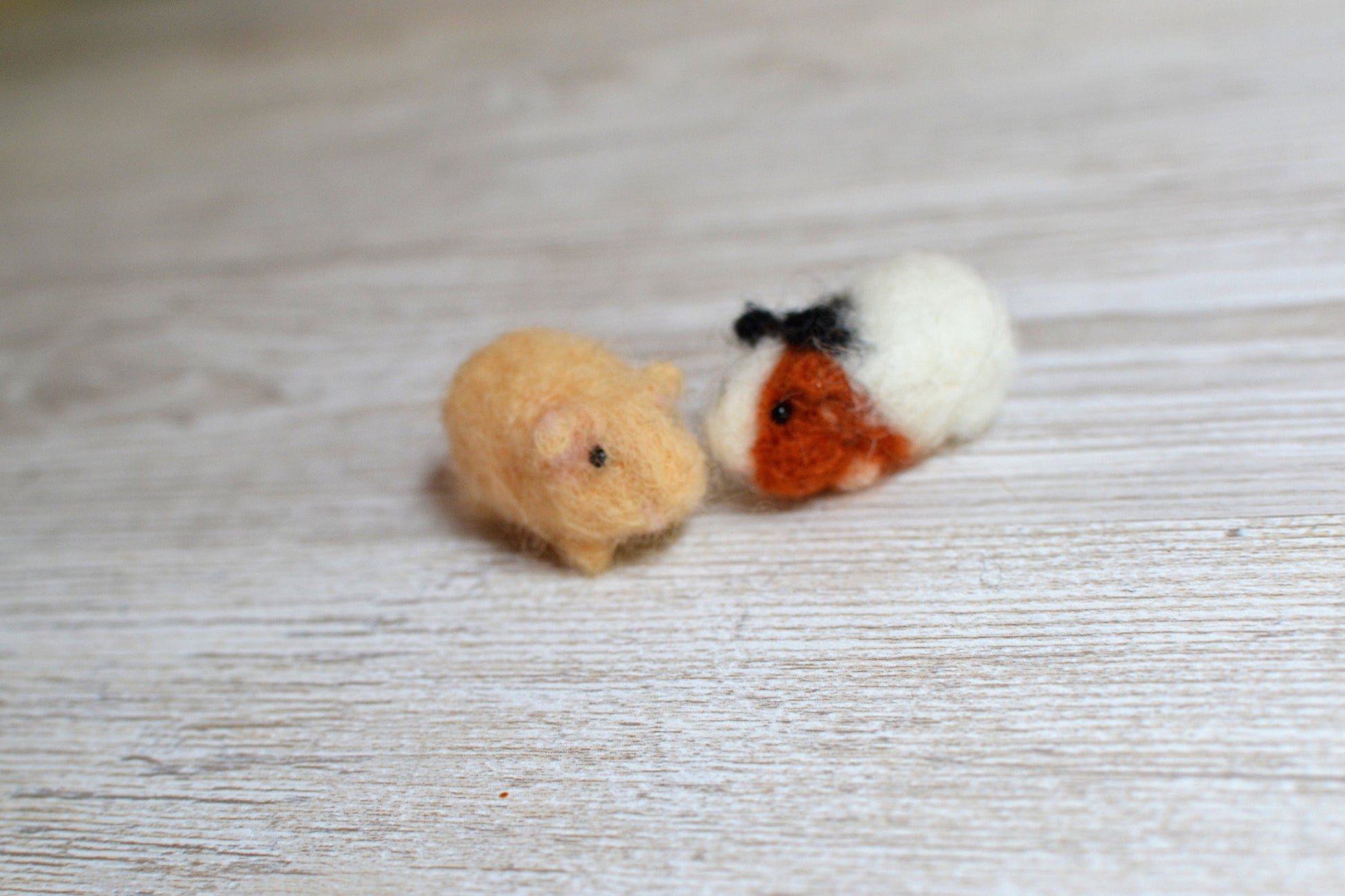 Needle felted  Guinea pig  miniature 1.2inch wool  Guinea pig doll house needle felted animals.needle felted toy.