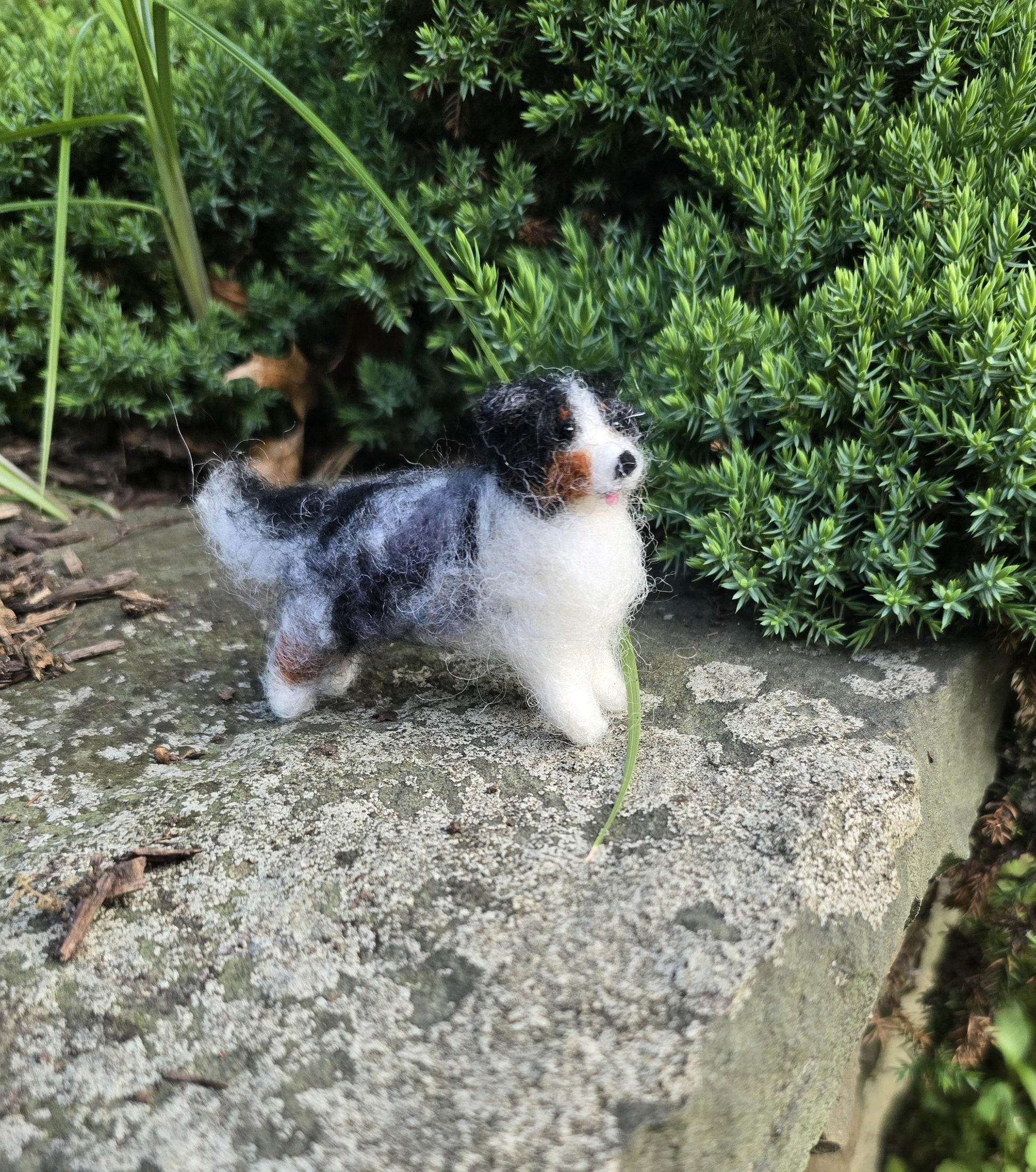 Australian sheperd dog. Handmade dog.Needle felted dog. Christmas ornament dog. Custom color auatralian sheperd.custom dog gift