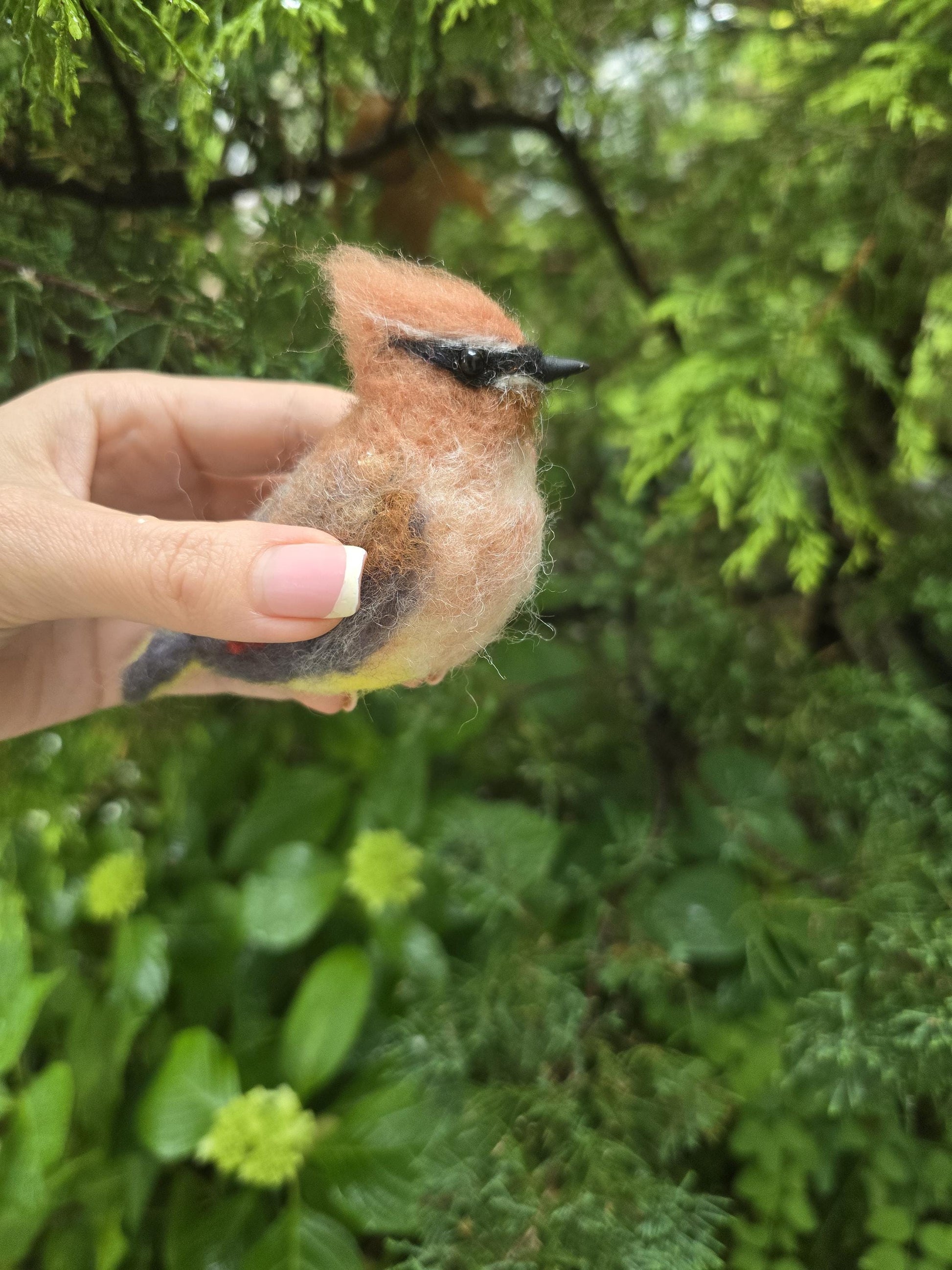 Cedar waxwing bird. Needle felted bird Cedar waxwing. Wool birds. Christmas ornament.
