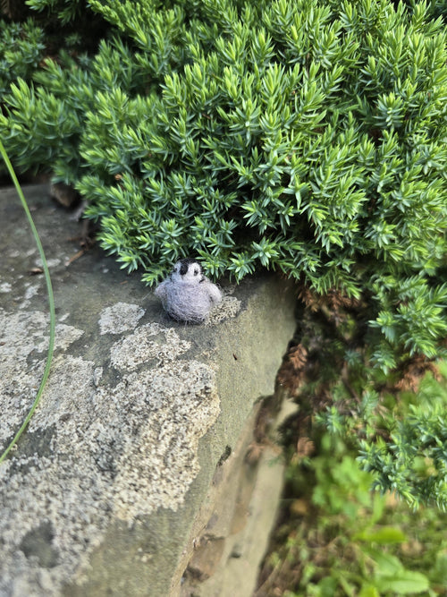 Baby penguin, miniature penguin. Handmade penguin gift. Felted penguin. christmas gift penguin doll house animal.