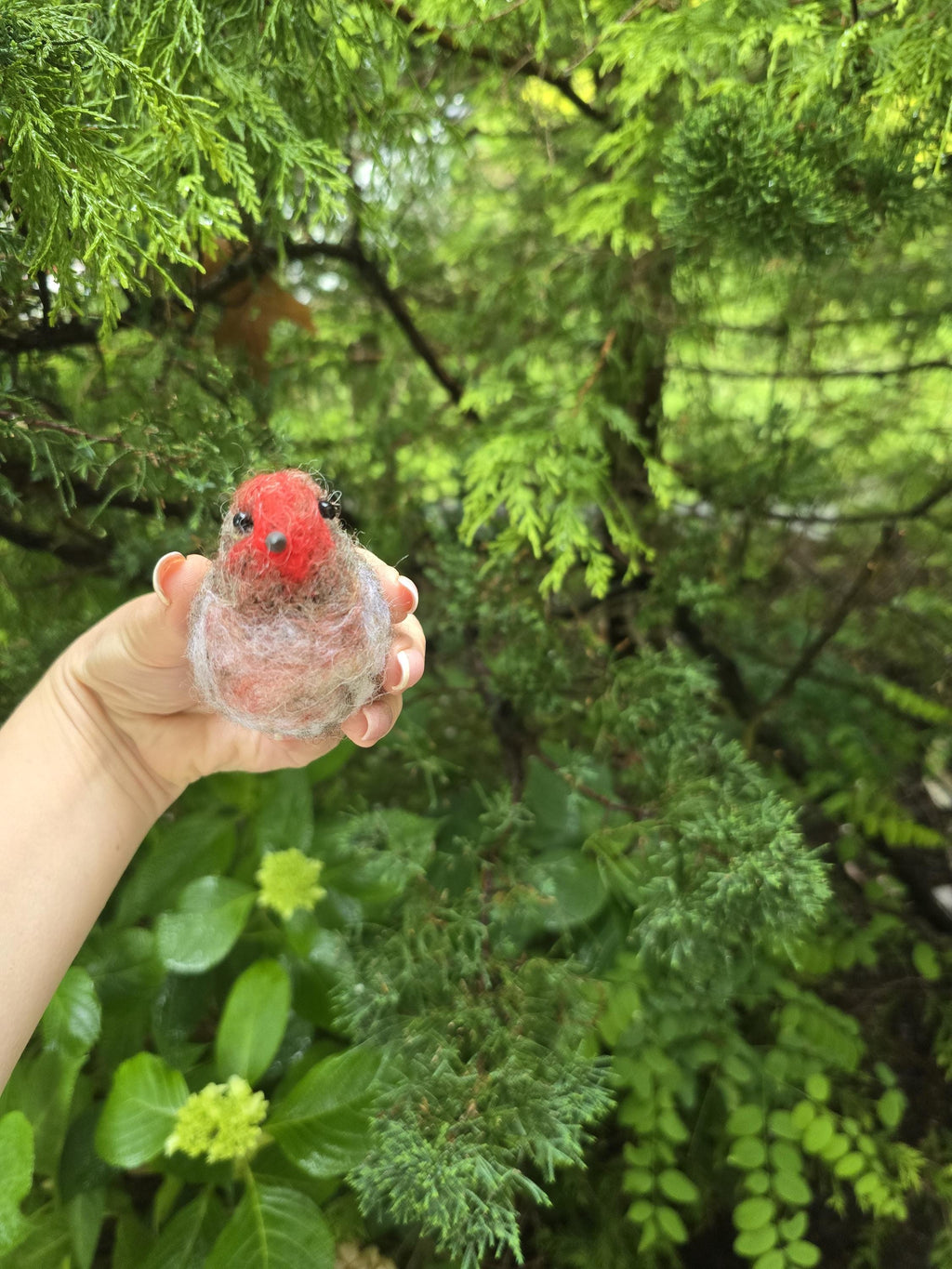 Felted bird house finch.  Needle felted animals. Christmas ornament. Bird gift