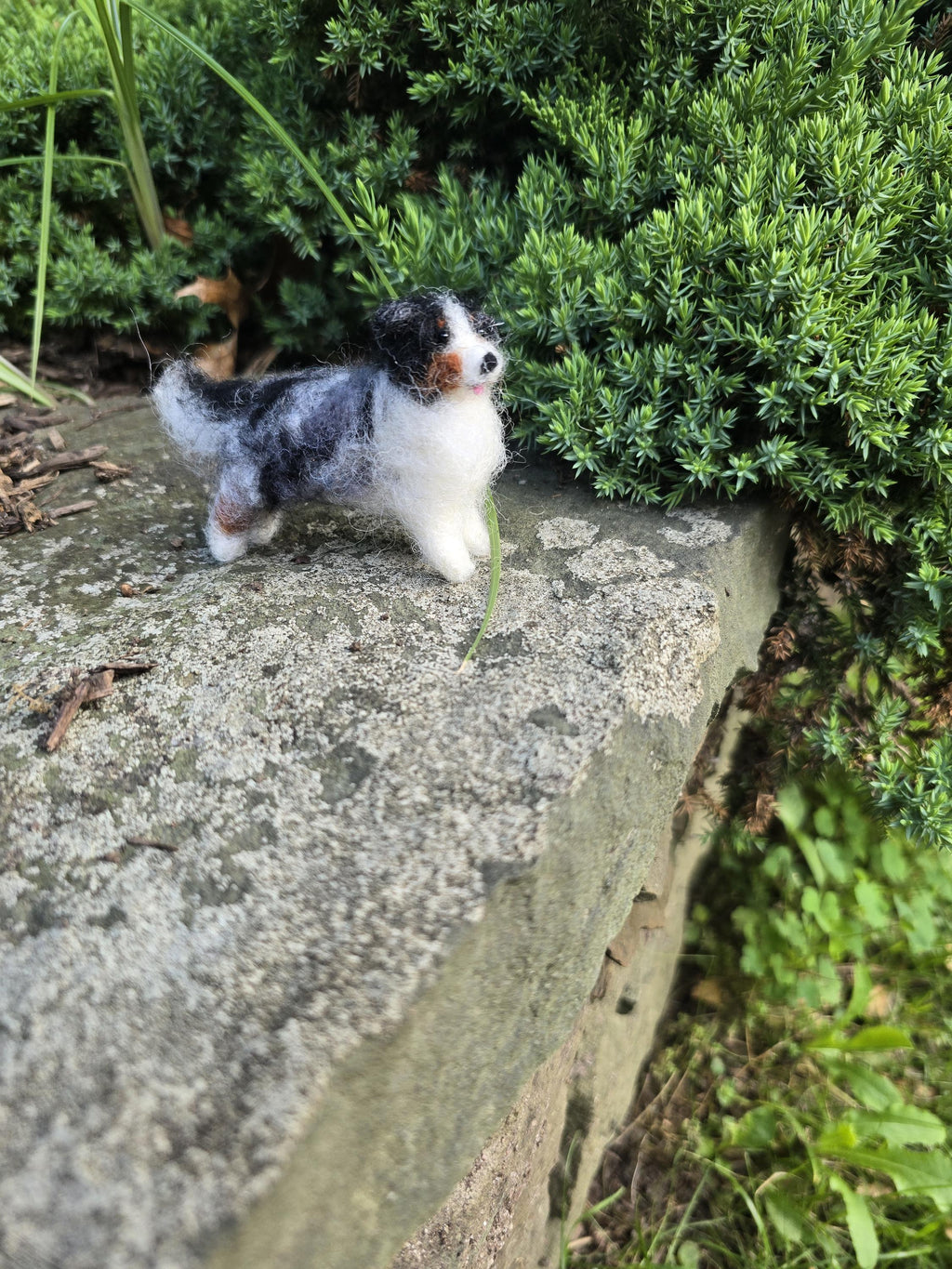 Australian sheperd dog. Handmade dog.Needle felted dog. Christmas ornament dog. Custom color auatralian sheperd.custom dog gift