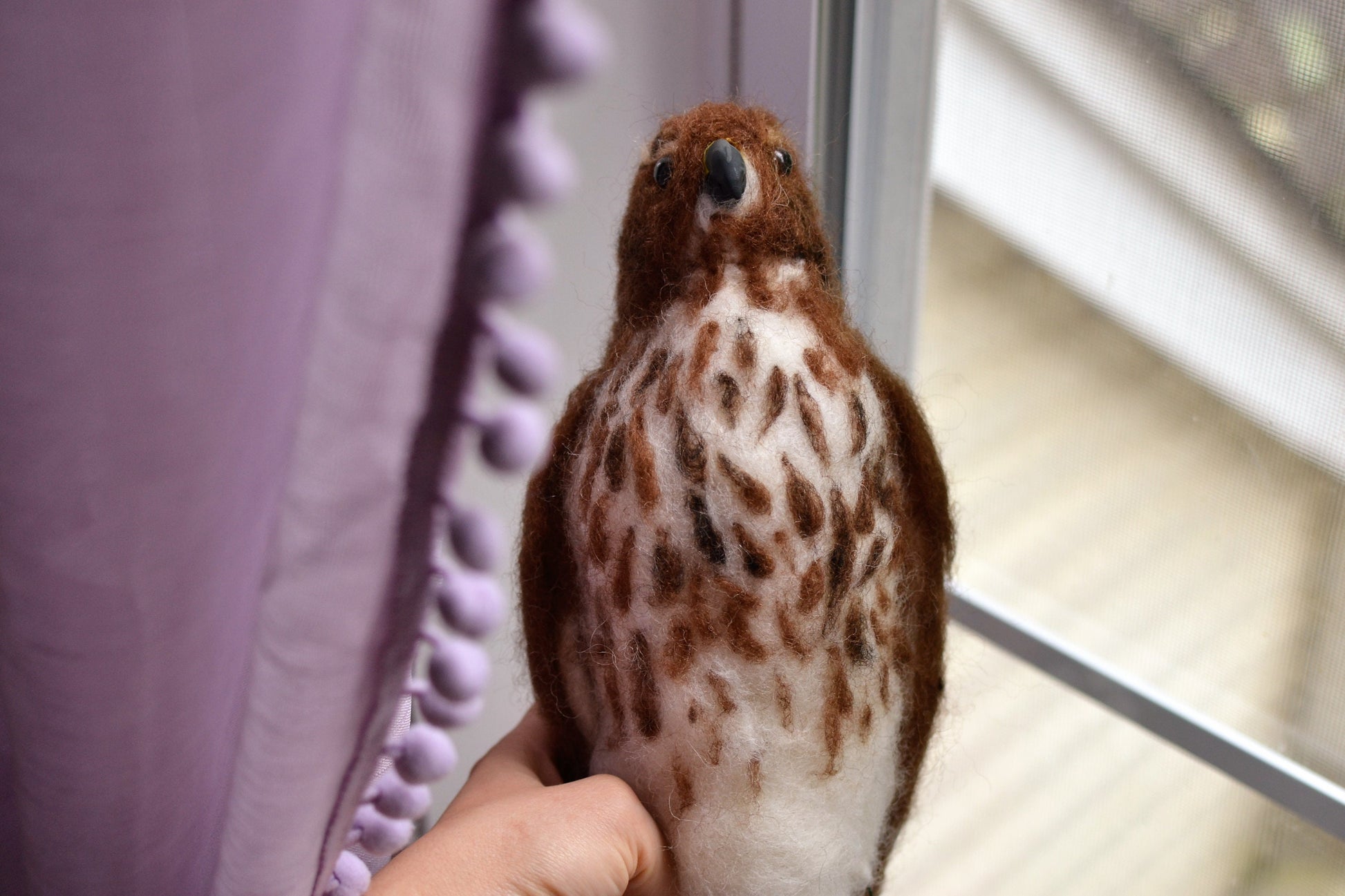 Cooper hawk real size. realistic hawk.Needle felted realistic birds.