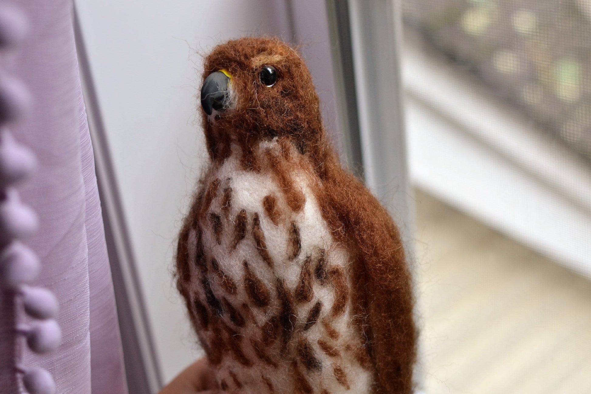 Cooper hawk real size. realistic hawk.Needle felted realistic birds.