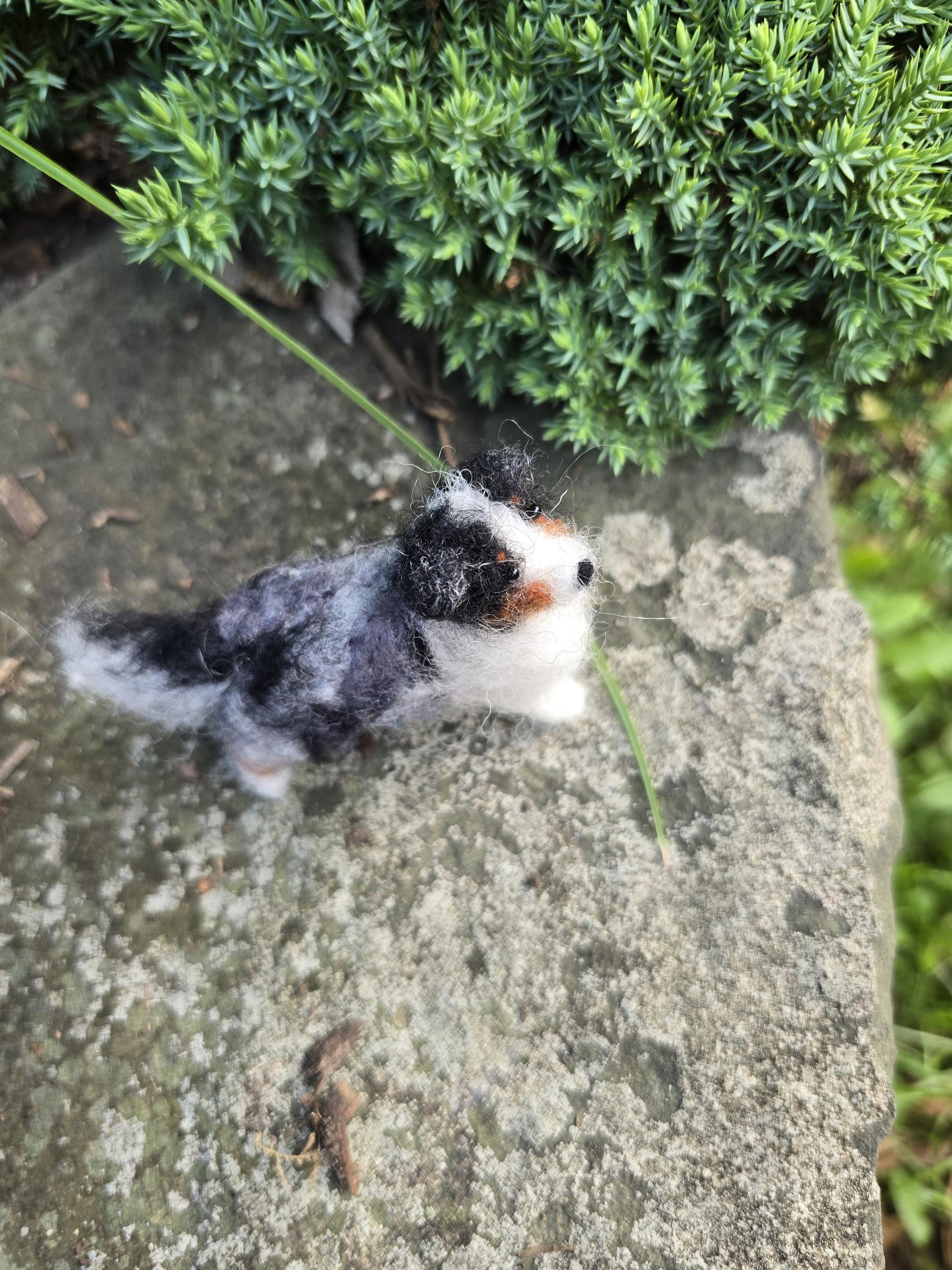 Australian sheperd dog. Handmade dog.Needle felted dog. Christmas ornament dog. Custom color auatralian sheperd.custom dog gift