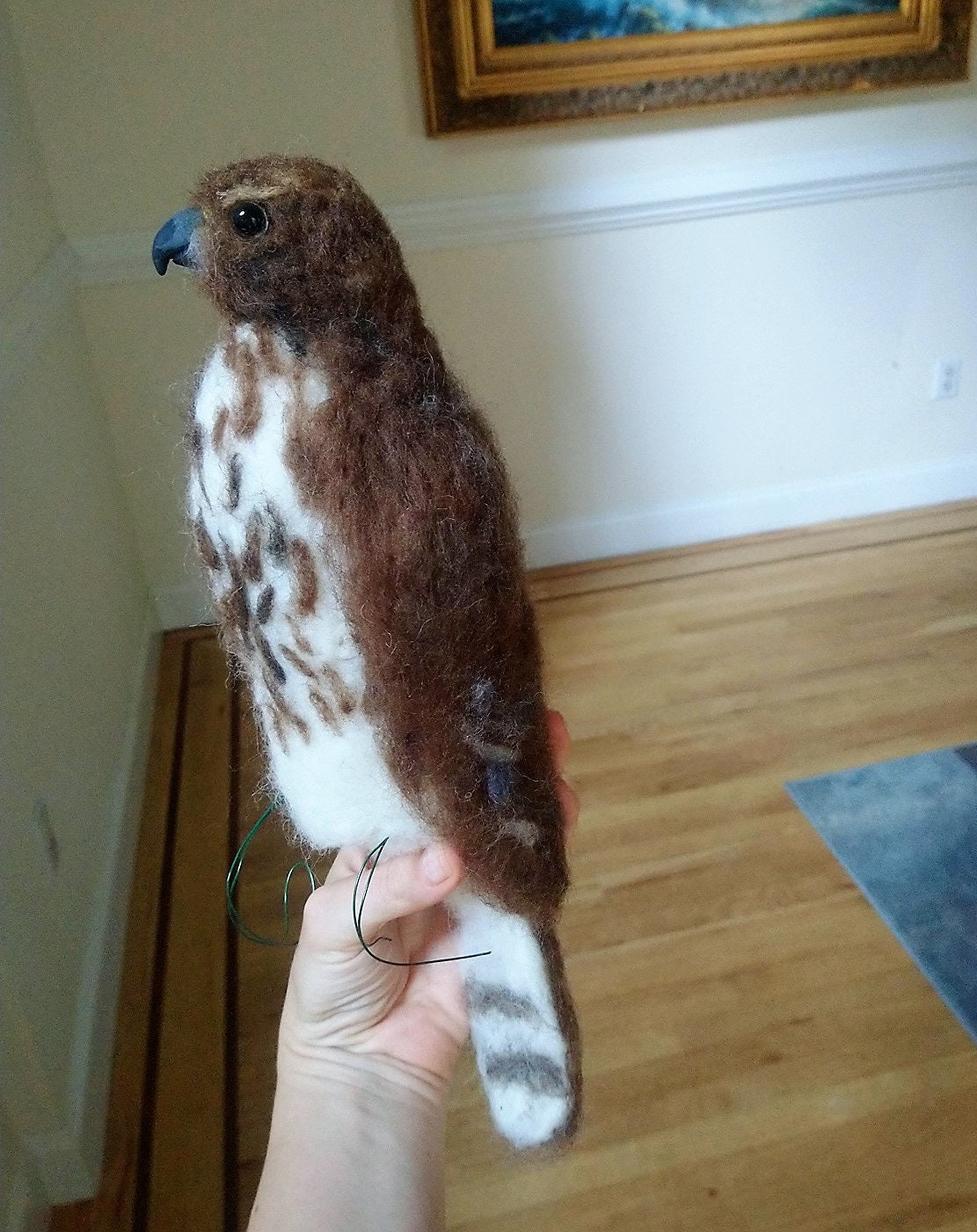 Cooper hawk real size. realistic hawk.Needle felted realistic birds.