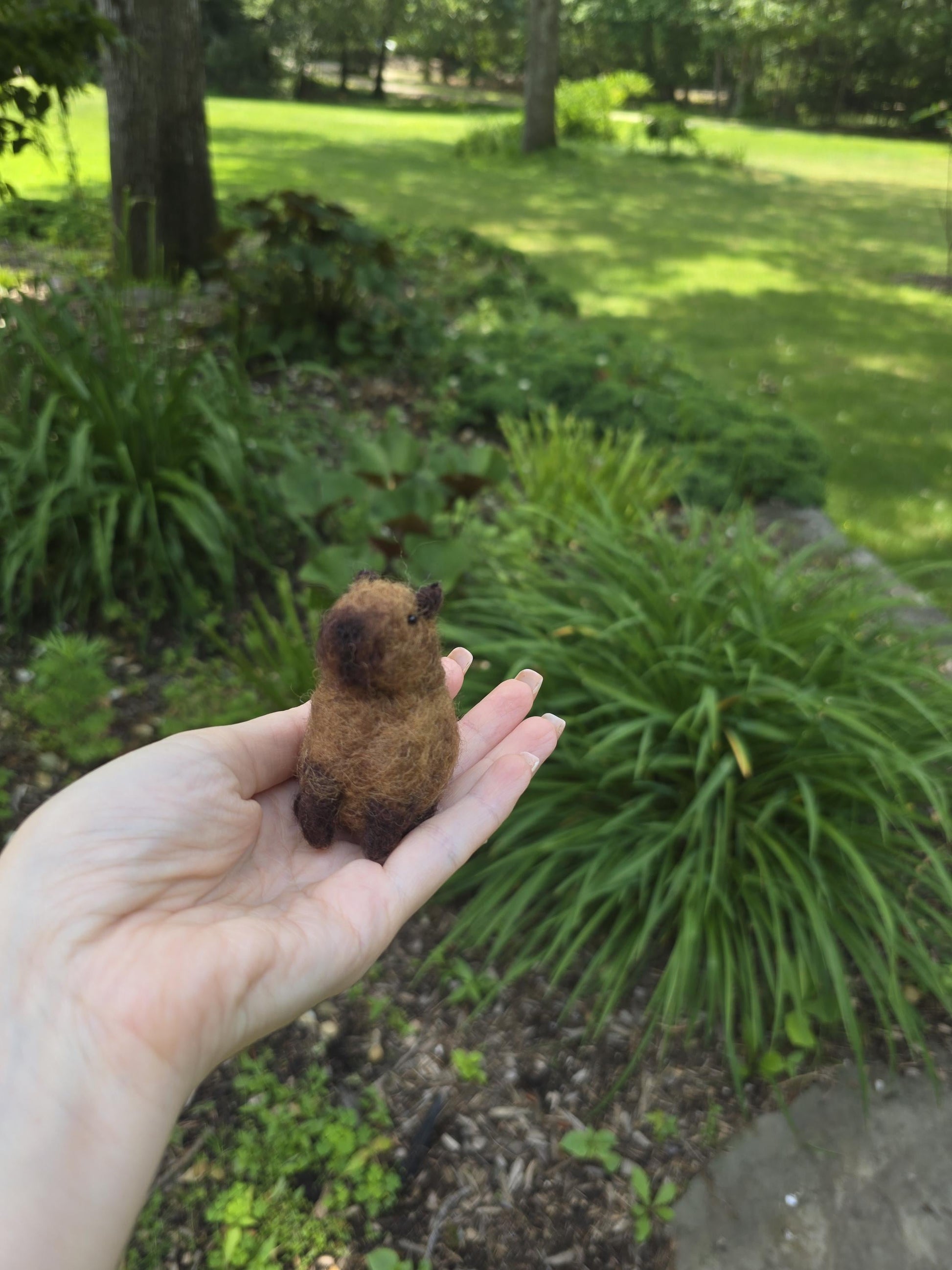 Capybara. capybara toy needle felted. Capybara ornament. Christmas gift needle felted. Wool animals.