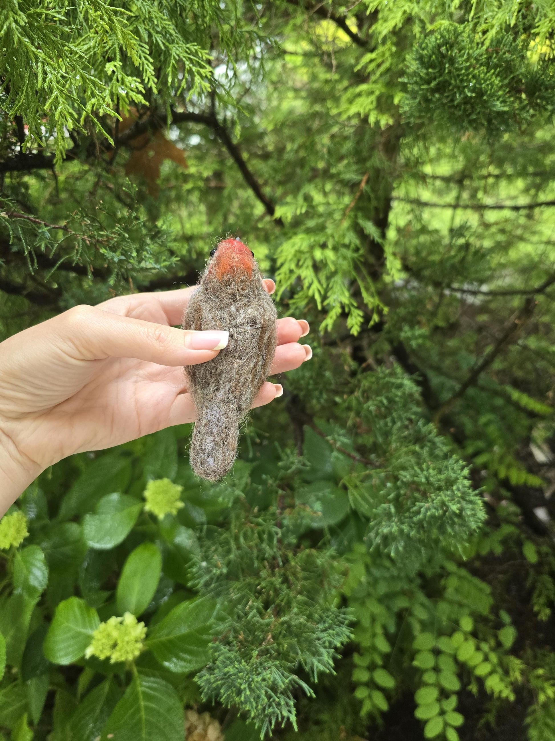 Felted bird house finch.  Needle felted animals. Christmas ornament. Bird gift