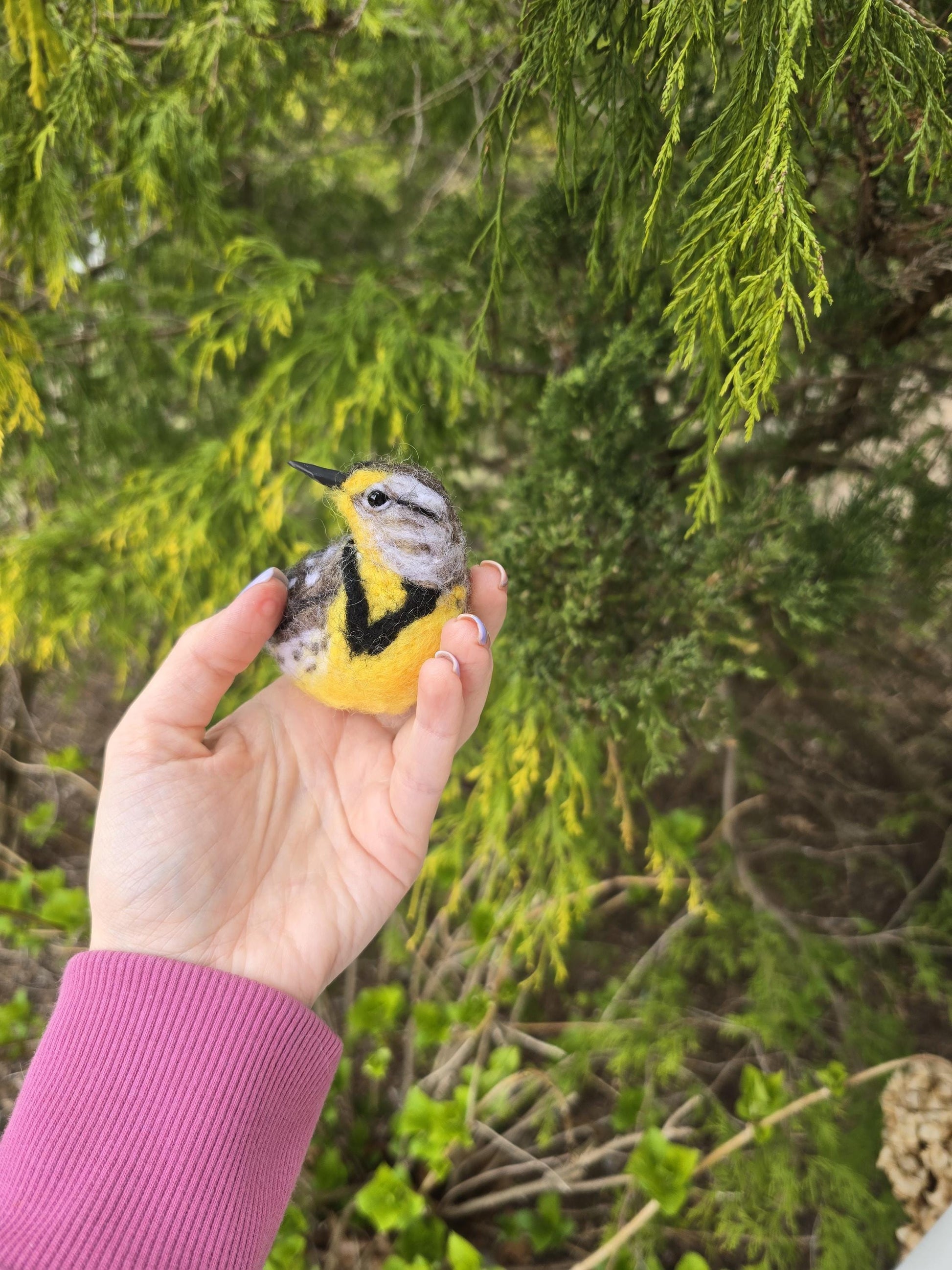 Meadowlark Needle felted birds. Felted realistic birds , meadowlark bird.