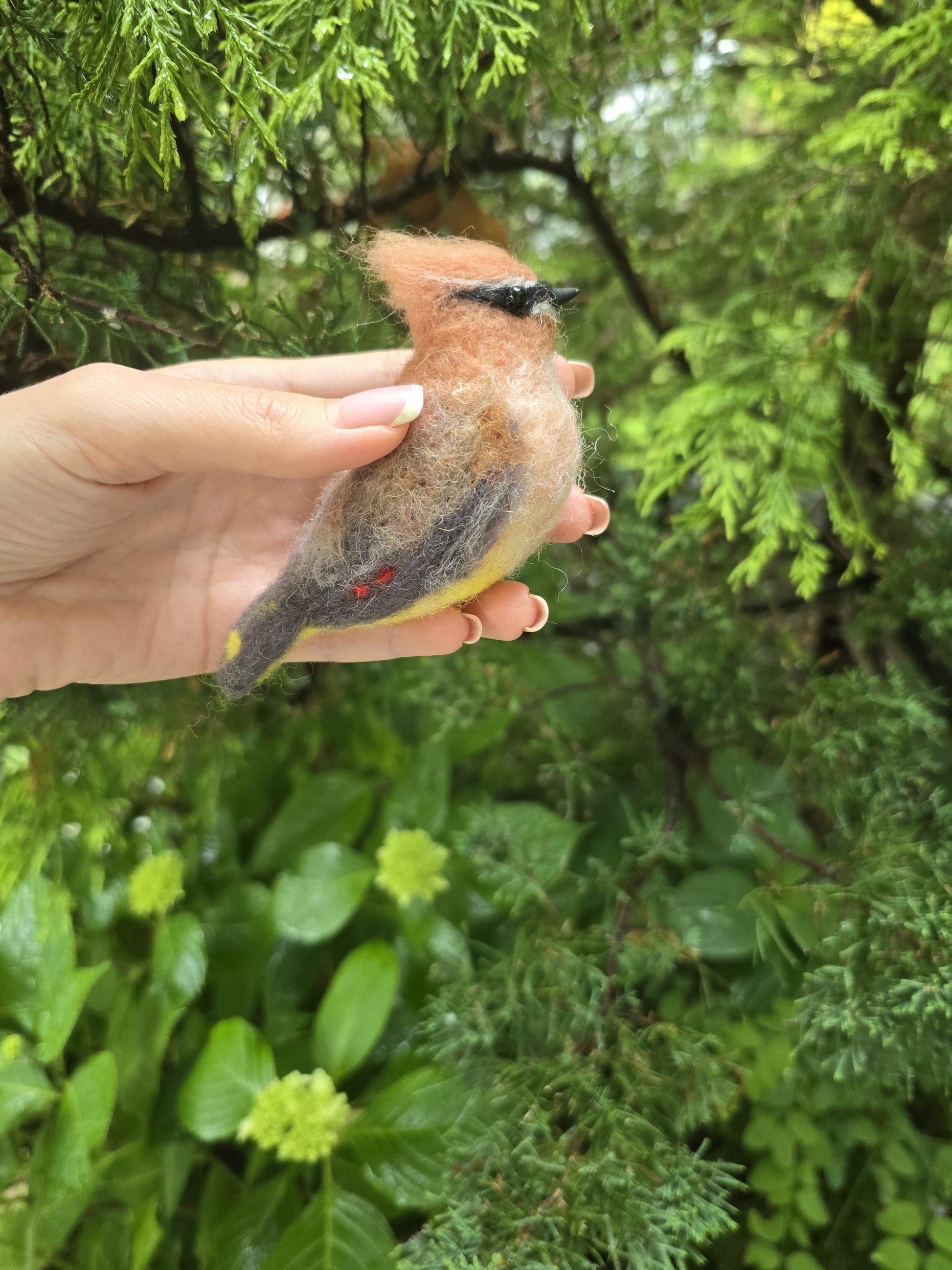 Cedar waxwing bird. Needle felted bird Cedar waxwing. Wool birds. Christmas ornament.