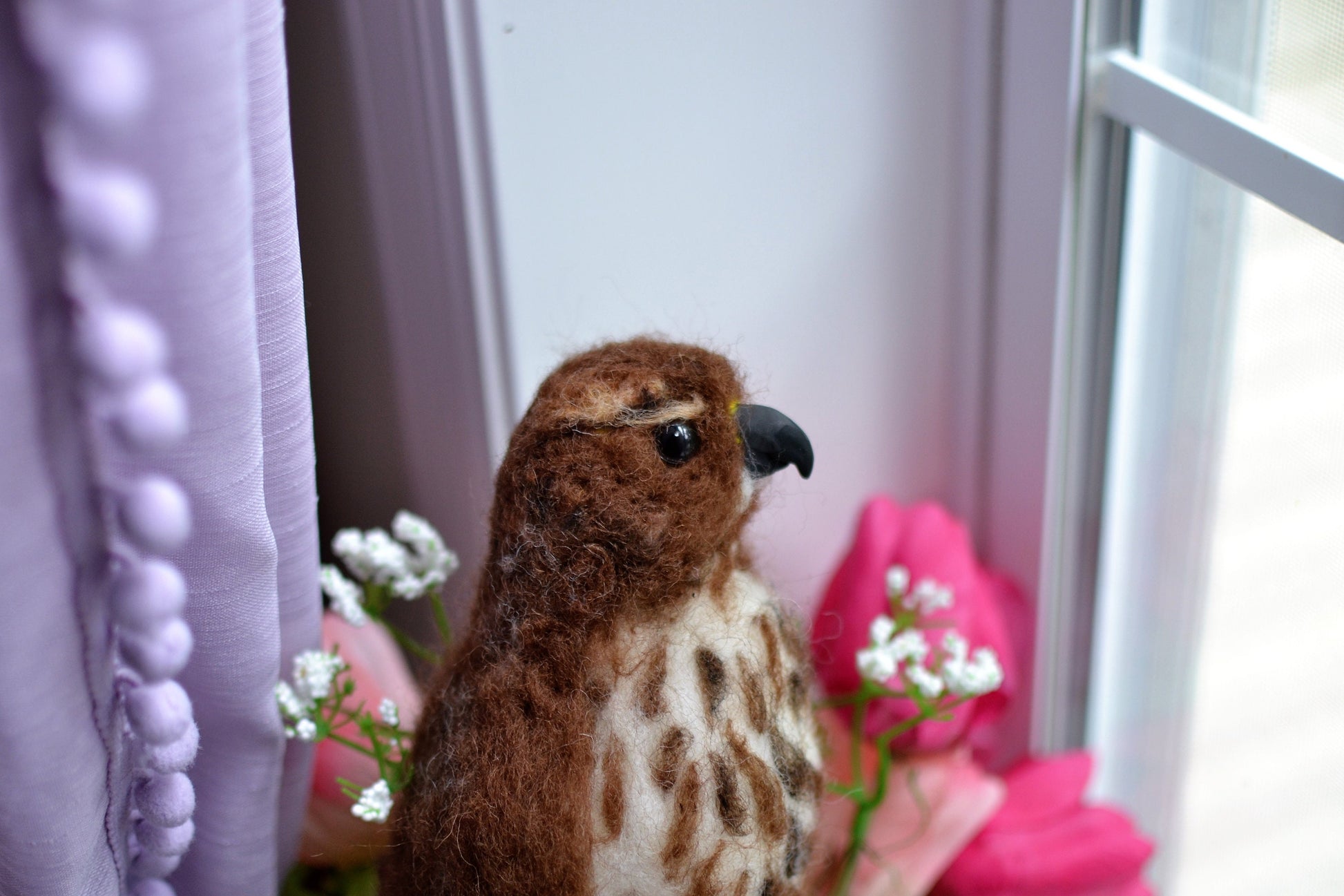 Cooper hawk real size. realistic hawk.Needle felted realistic birds.